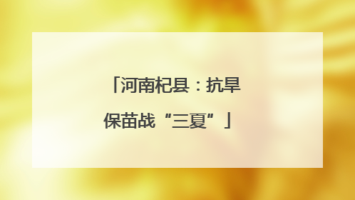 河南杞县：抗旱保苗战“三夏”