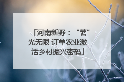 河南新野：“薯”光无限 订单农业激活乡村振兴密码