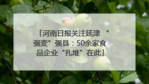 河南日报关注延津 “强麦”强县：50余家食品企业“扎堆”在此