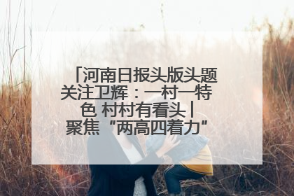 河南日报头版头题关注卫辉：一村一特色 村村有看头 ︳聚焦“两高四着力”·一“县”观察