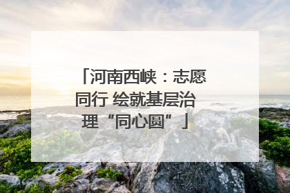 河南西峡：志愿同行 绘就基层治理“同心圆”
