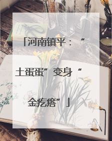 河南镇平：“土蛋蛋”变身“金疙瘩”