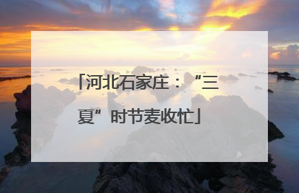 河北石家庄：“三夏”时节麦收忙