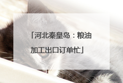 河北秦皇岛：粮油加工出口订单忙