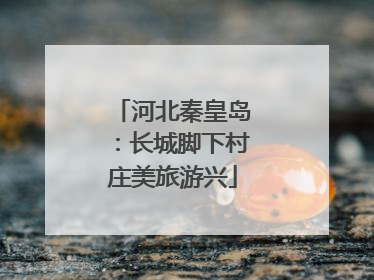 河北秦皇岛：长城脚下村庄美旅游兴