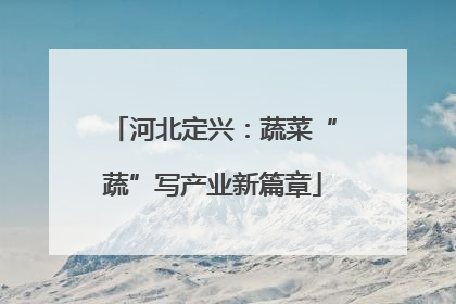 河北定兴：蔬菜“蔬”写产业新篇章
