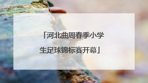 河北曲周春季小学生足球锦标赛开幕