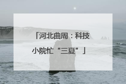 河北曲周：科技小院忙“三夏”