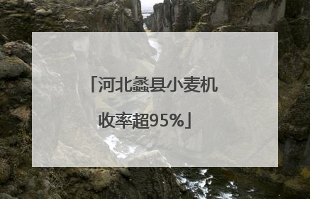 河北蠡县小麦机收率超95%