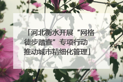 河北衡水开展“网格徒步踏查”专项行动 推动城市精细化管理