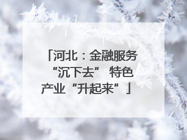 河北：金融服务“沉下去” 特色产业“升起来”
