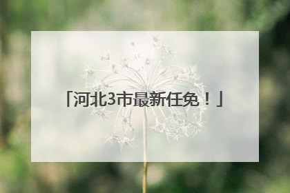 河北3市最新任免！
