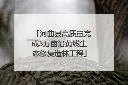 河曲县高质量完成5万亩沿黄线生态修复造林工程