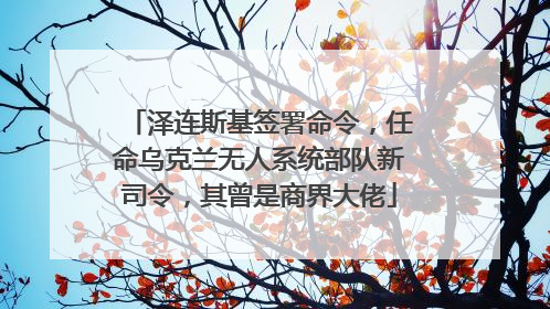 泽连斯基签署命令，任命乌克兰无人系统部队新司令，其曾是商界大佬