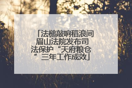 法槌敲响稻浪间 眉山法院发布司法保护“天府粮仓”三年工作成效