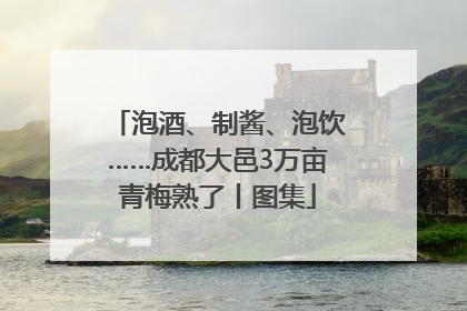 泡酒、制酱、泡饮……成都大邑3万亩青梅熟了丨图集