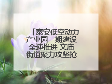 泰安低空动力产业园一期建设全速推进 文庙街道聚力攻坚抢抓“进度条”