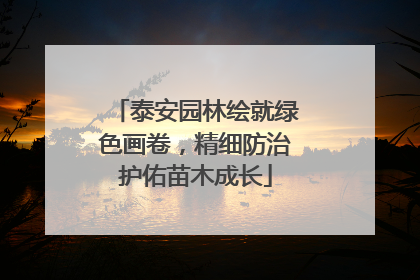 泰安园林绘就绿色画卷，精细防治护佑苗木成长