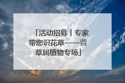 活动招募丨专家带您识花草——萱草属植物专场