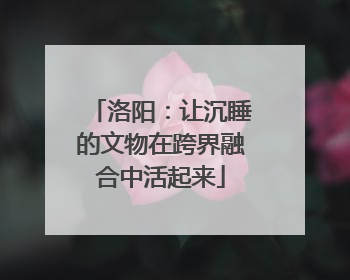 洛阳：让沉睡的文物在跨界融合中活起来
