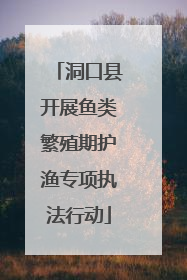 洞口县开展鱼类繁殖期护渔专项执法行动