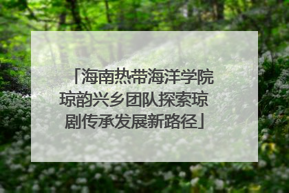 海南热带海洋学院琼韵兴乡团队探索琼剧传承发展新路径