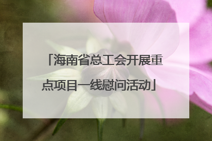 海南省总工会开展重点项目一线慰问活动