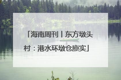 海南周刊丨东方墩头村：港水环墩仓廪实