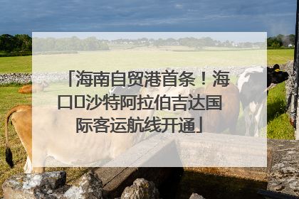 海南自贸港首条！海口⇌沙特阿拉伯吉达国际客运航线开通