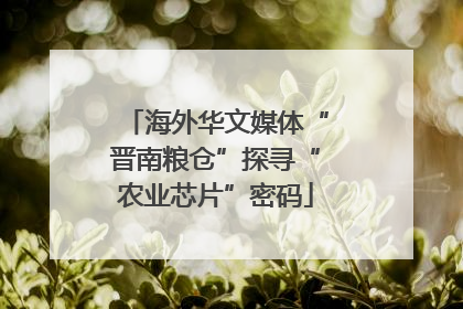 海外华文媒体“晋南粮仓”探寻“农业芯片”密码