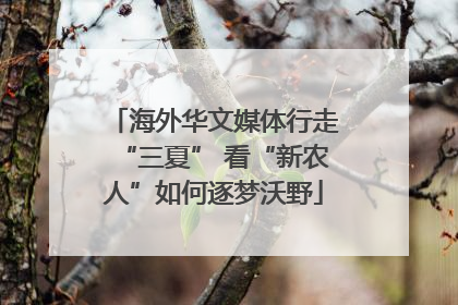 海外华文媒体行走“三夏” 看“新农人”如何逐梦沃野