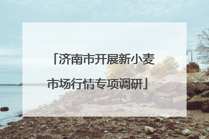 济南市开展新小麦市场行情专项调研