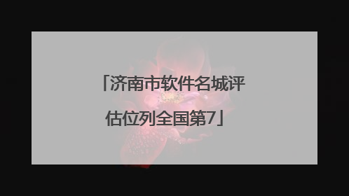 济南市软件名城评估位列全国第7