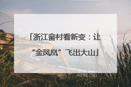 浙江畲村看新变：让“金凤凰”飞出大山