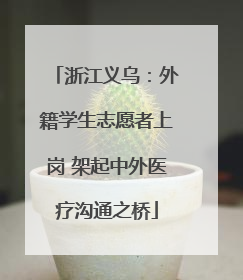 浙江义乌：外籍学生志愿者上岗 架起中外医疗沟通之桥