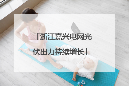浙江嘉兴电网光伏出力持续增长