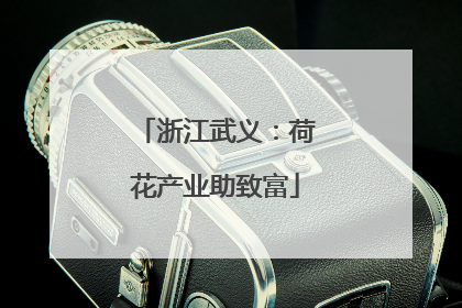 浙江武义：荷花产业助致富