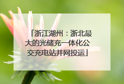 浙江湖州：浙北最大的光储充一体化公交充电站并网投运