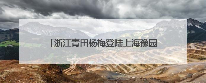 浙江青田杨梅登陆上海豫园 盛夏“梅”好盛宴开启
