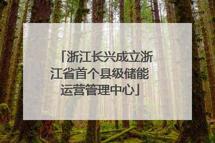 浙江长兴成立浙江省首个县级储能运营管理中心
