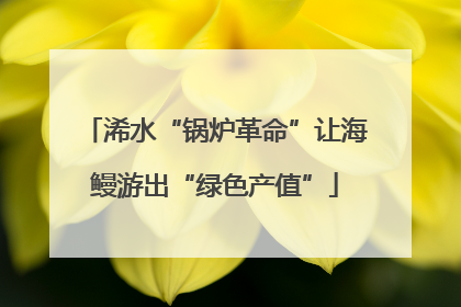 浠水“锅炉革命”让海鳗游出“绿色产值”