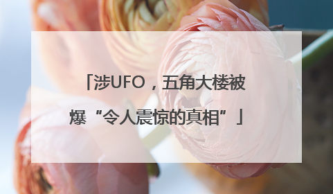 涉UFO，五角大楼被爆“令人震惊的真相”