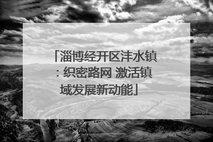 淄博经开区沣水镇：织密路网 激活镇域发展新动能