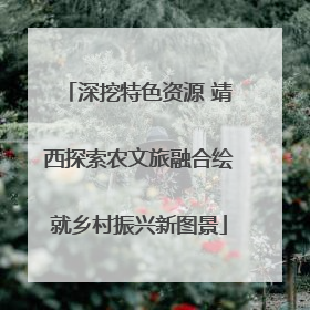 深挖特色资源 靖西探索农文旅融合绘就乡村振兴新图景
