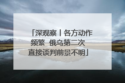 深观察丨各方动作频繁  俄乌第二次直接谈判前景不明