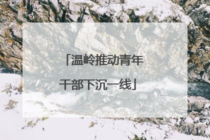 温岭推动青年干部下沉一线