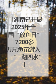 湖南省开展2025年全国“放鱼日” 7200多万尾鱼苗游入“一湖四水”