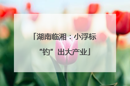 湖南临湘：小浮标“钓”出大产业
