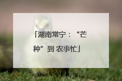 湖南常宁：“芒种”到 农事忙