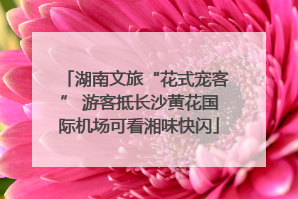 湖南文旅“花式宠客” 游客抵长沙黄花国际机场可看湘味快闪